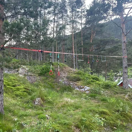 Family With View Over Fjord, Mountain, Wood * Erfjord